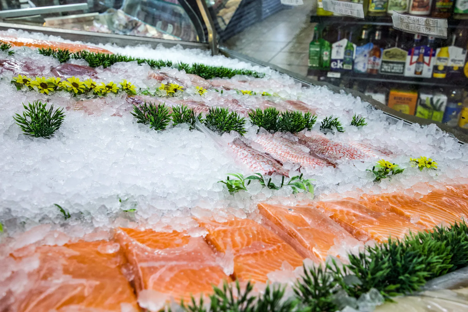 Wide view of seafood displayed on ice at The Fruit Bowl.